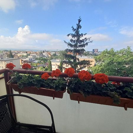 Apartman Lienka Free Parking City Centre Trenčín Esterno foto