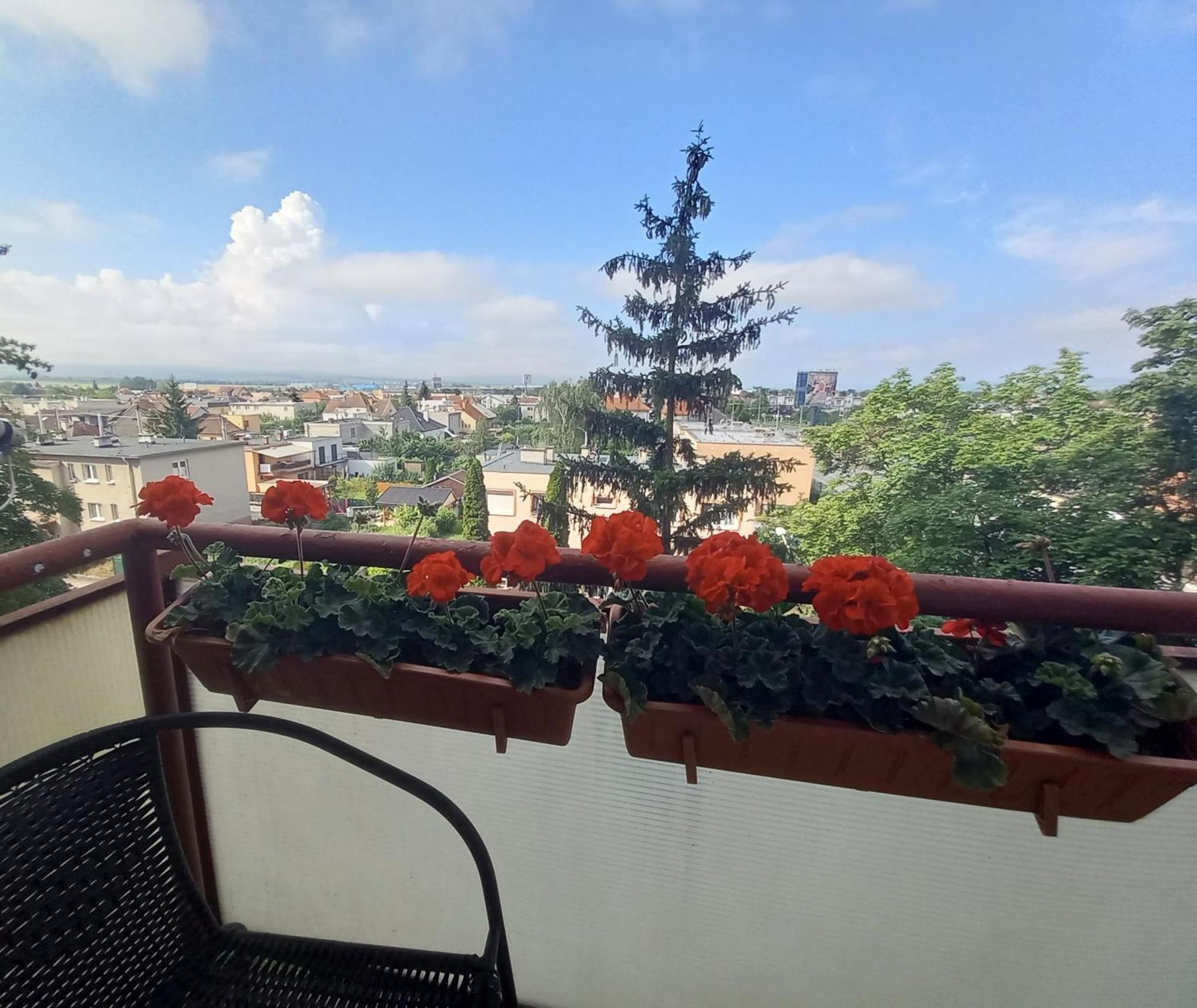 Apartman Lienka Free Parking City Centre Trenčín Esterno foto